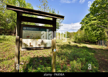 Les roches blanches ; Herefordshire Wildlife Trust Réserver ; avis ; UK Banque D'Images