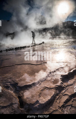 À l'El Tatio Geysers del Tatio Geysers (), le plus grand champ de geysers de l'hémisphère Sud, Désert d'Atacama, Chili Banque D'Images