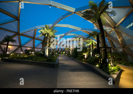 Le jardin sur le toit de la traverse la borne, Canary Wharf, Londres, Angleterre, Royaume-Uni, Europe Banque D'Images