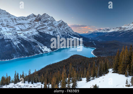 Au coucher du soleil, le Lac Peyto Banff National Park, site du patrimoine mondial de l'UNESCO, des montagnes Rocheuses, Alberta, Canada, Amérique du Nord Banque D'Images