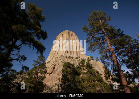 Devils Tower, Devils Tower National Monument, Wyoming, États-Unis d'Amérique, Amérique du Nord Banque D'Images