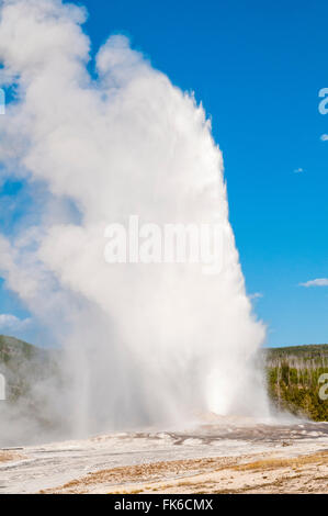 Old Faithful Geyser, le Parc National de Yellowstone, UNESCO World Heritage Site, Wyoming, États-Unis d'Amérique, Amérique du Nord Banque D'Images