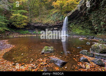 Sgwd Gwladus cascade sur la rivière Afon Pyrddin, parc national de Brecon Beacons, Pays de Galles, Royaume-Uni, Europe Banque D'Images