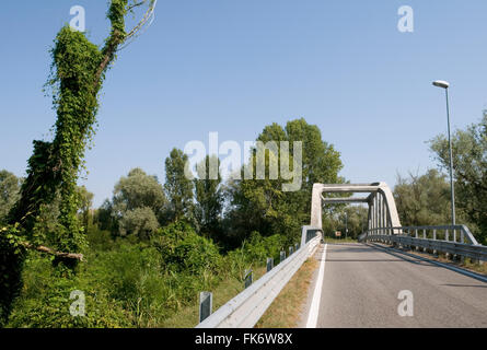 Pont routier sur la rivière Po près de Porto Tolle, Parc du Delta du Po, province de Rovigo, Vénétie, Italie Banque D'Images