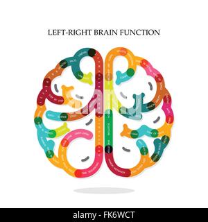 Infographies créatives du cerveau gauche et droit des idées sur la conception d'arrière-plan,poster,flyer,brochure,capot,schéma ou la présenta Illustration de Vecteur