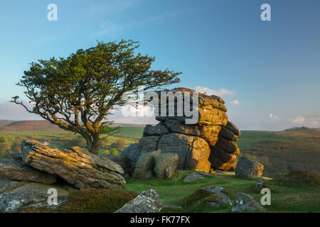 Tor de selle, Dartmoor, dans le Devon, England, UK Banque D'Images