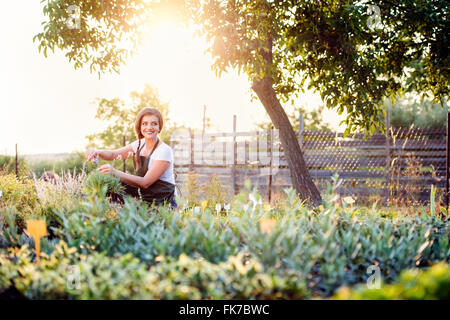 Les jeunes peu coupe jardinier fleur plante, vert nature ensoleillée Banque D'Images