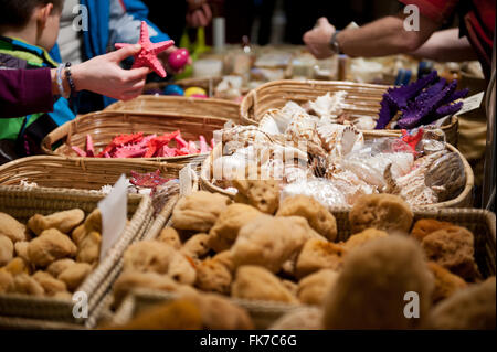 Les clients l'achat d'animaux de mer, éponges naturelles, de coquillages et d'étoiles situées dans des paniers à vendre à Varsovie, Pologne 2016 Expo Minéraux Banque D'Images