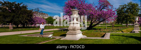 Paris, France, femme, profiter du temps chaud, printemps, dans le jardin des Tuileries, 'jardin des Tuileries', près du Musée du Louvre, vue panoramique, jardin urbain paysagé citadin, biodiversité urbanisation Banque D'Images