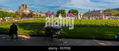 Paris, France, groupes de jeunes qui profitent d'un temps chaud, printemps, dans les jardins des Tuileries, jardin des Tuileries, près du musée du Louvre, Vue panoramique, ville de paris nature Banque D'Images