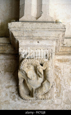 Entwined ou lutter contre les salamandres c12th sculpture romane cloîtres abbaye de Montmajour, près de Arles Provence France Banque D'Images