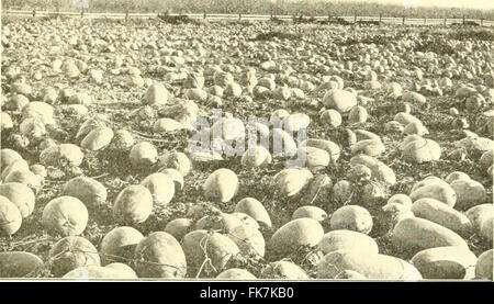 "Éléments d'agriculture Philippine' (1908) Banque D'Images