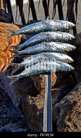 Bois de chauffage sur une brochette de sardines à la plage Banque D'Images