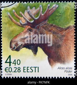 Estonie - circa 2006 : timbre imprimé en Estonie montre Alces alces, vers 2006 Banque D'Images