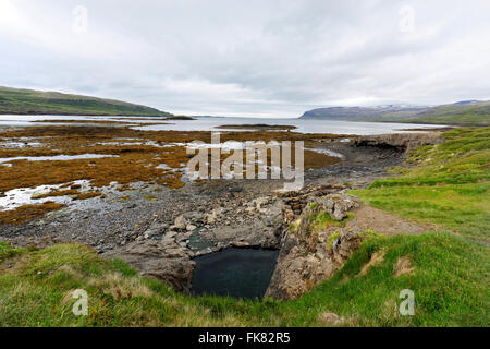 Source thermale naturelle ( Hellulaug Vatnsfjšrdur), fjord, Westfjords, l'Islande, l'Europe. Banque D'Images