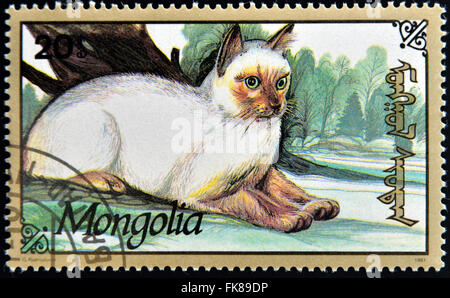 Mongolie - circa 1991 : timbres en Mongolie montre un chat, circa 1991 Banque D'Images