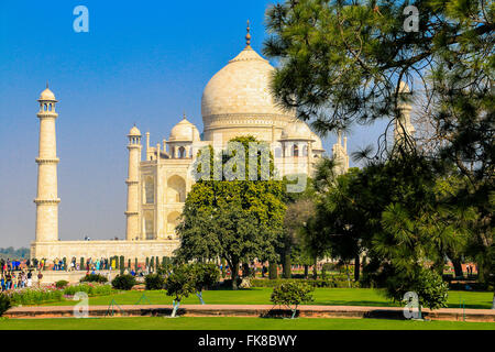 Taj Mahal, UNESCO World Heritage Site, Agra, Uttar Pradesh, Inde, Asie Banque D'Images