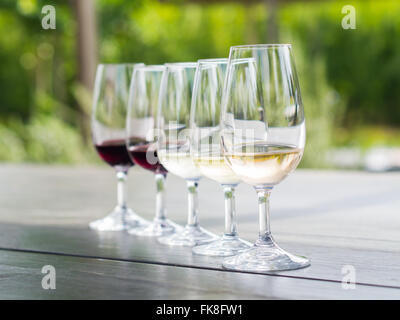 Dégustation de vins à Stellenbosch, Afrique du Sud : blanc de noir, chardonnay, sauvignon blanc, merlot, cabernet sauvignon. Banque D'Images