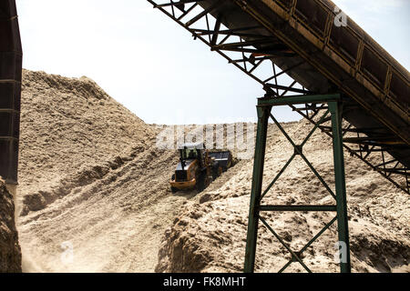 Patio de la bagasse pour la cogénération à l'usine de sucre et d'alcool dans la campagne Banque D'Images