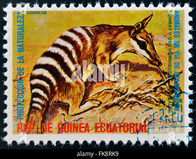 Guinée Équatoriale - circa 1974 : timbres en Guinée dédié aux animaux en voie de disparition, montre le numbat, l'Australie, vers 1974 Banque D'Images