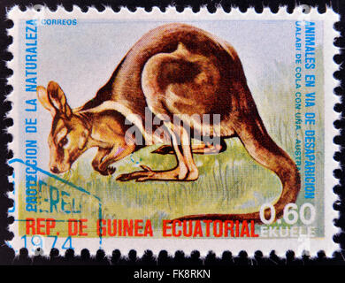 Guinée Équatoriale - circa 1974 : timbres en Guinée dédié aux animaux en voie de disparition, montre le wallaby, l'Australie, vers 1974 Banque D'Images