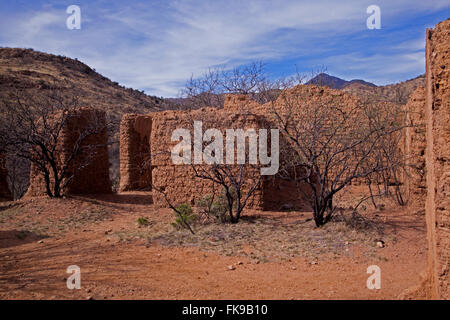 Alto en Arizona, une ville fantôme de l'intérieur des murs en adobe avec chêne scrub croissant dans l'intérieur du lien accueil/dialup. Banque D'Images