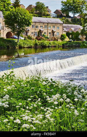 Vue sur le barrage sur la rivière Wharfe à Boston Spa, West Yorkshire, Angleterre, Royaume-Uni. Banque D'Images