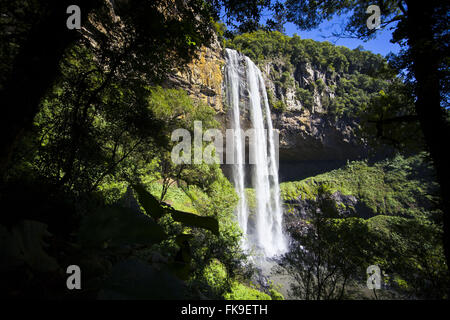 Cascata do Caracol - Parc d'état de l'escargot dans la Sierra Gaucha Banque D'Images