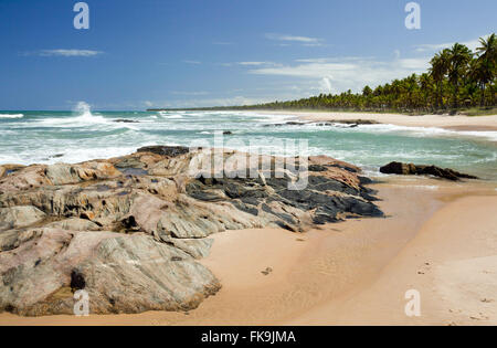 Plage Praia do Forte - côte nord Banque D'Images