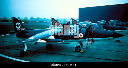 AJAXNETPHOTO. 1970 (environ). YEOVILTON, Angleterre. - SEA HARRIER DE LA MARINE ROYALE DE L'escadron 800 EN COURS DE PRÉPARATION POUR LE VOL. PHOTO:VIV TOWNLEY/AJAX REF:22412/2/2 Banque D'Images