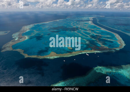 Vue aérienne de Hardy Reef, la maison au coeur de corail, dans la Grande Barrière de Corail Banque D'Images