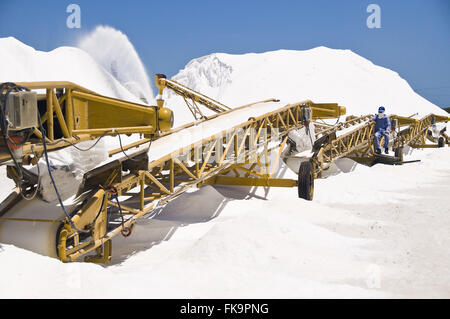 L'entreposage du sel - le sel dans la côte du Natal - la région de la Costa Blanca Banque D'Images