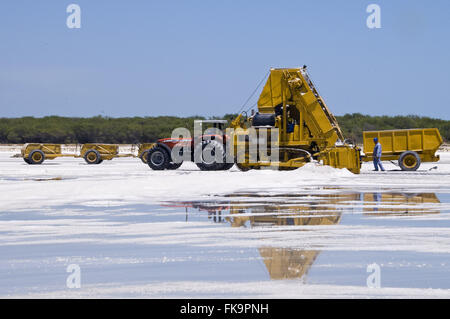 L'industrie du sel dans la côte du Natal - la région de la Costa Blanca Banque D'Images