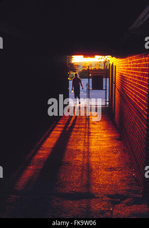 Coucher du soleil illumine le stade mâle runner laissant la voie through tunnel Banque D'Images