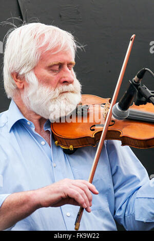 John Sheahan fiddle Banque D'Images