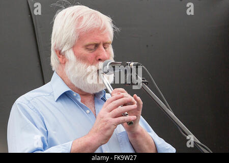 John Sheahan tin whistle Banque D'Images