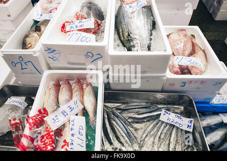 Poisson frais en vente sur le marché aux poissons de Tsukiji Shijo Banque D'Images