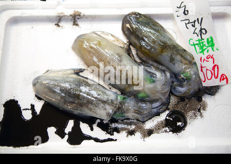 Calmars frais vendre au marché aux poissons de Tsukiji Shijo Banque D'Images