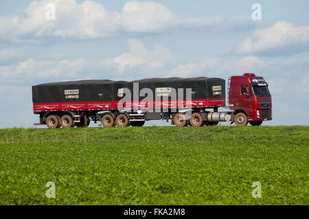 Camion à grain voyageant sur US-153 au moment de l'administration locale Rondonopolis Banque D'Images