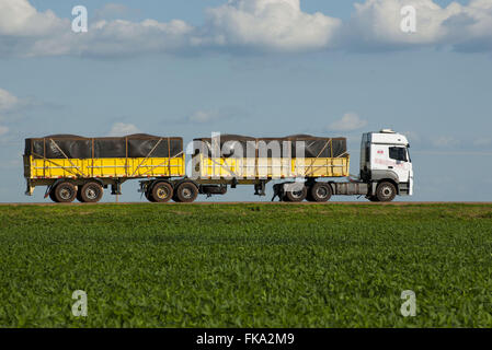 Camion à grain voyageant sur US-153 au moment de l'administration locale Rondonopolis Banque D'Images