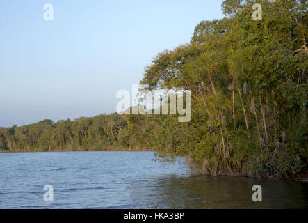 Lac d'Ipa dans le parc indigène du Xingu Banque D'Images