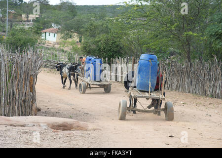 Kapinawá l'origine ethnique les Indiens dans le village ou de la communauté de l'eau de la batteuse sur charrette Banque D'Images