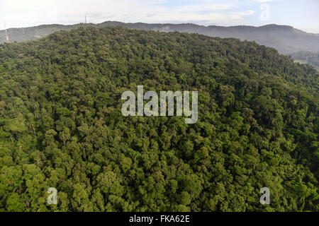 Vue aérienne de la forêt tropicale dans la région de Parque Estadual Alberto Lofgre - Horto quartier de Tremembe Banque D'Images