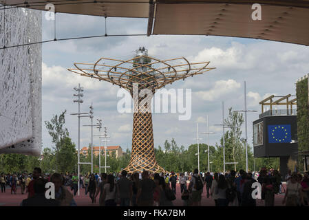 Árvore da Vida na Expo Milano 2015 - monumento símbolo da Exposição Universal Banque D'Images