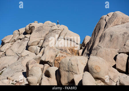 Jumbo Rocks, Joshua Tree National Park, California, USA Banque D'Images