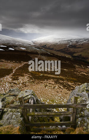 En hiver le Cheviot Hills dans le Parc National de Northumberland. Banque D'Images