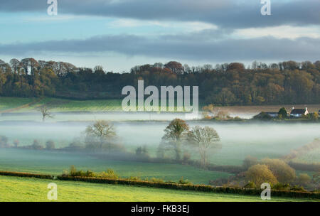 Mist couché dans la vallée à Milborne Wick, Somerset, England, UK Banque D'Images