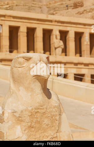 Vue détaillée du Temple d'Hatshepsout, près de la Vallée des Rois (Luxor, Egypte) Banque D'Images