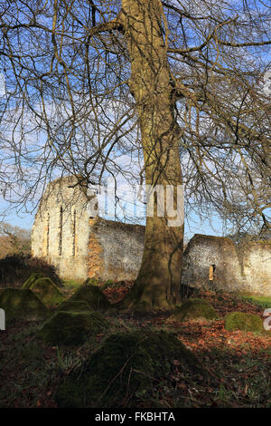 Ruines de l'abbaye de Waverley et de pâtés, Surrey, Angleterre Banque D'Images