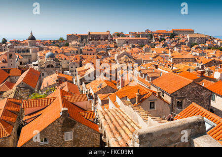 Vues sur les toits de l'ancienne vieille ville de Dubrovnik, Croatie, Europe. Banque D'Images